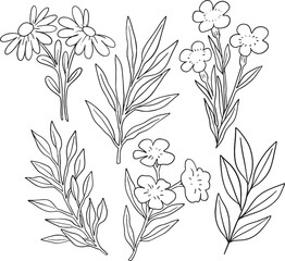 Mega collection of over 50 hand-drawn black and white botanical elements, featuring various wildflowers, leaves, branches, and berries. Highly versatile for logos, wedding design, surface patterns.