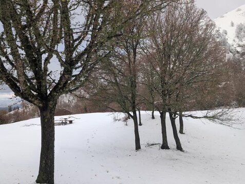 Orme sulla neve in montagna