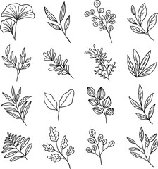 A collection of 16 hand-drawn botanical vector elements. Perfect for logos, wedding invitations, nature-inspired branding, tattoo designs, and various graphic projects. Includes modern leaf branches.