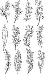 The ultimate master bundle: 120+ diverse hand-drawn vector botanical elements. This vast collection includes detailed wildflowers, stylized leaves, elegant stems, abstract berries, and ferns.