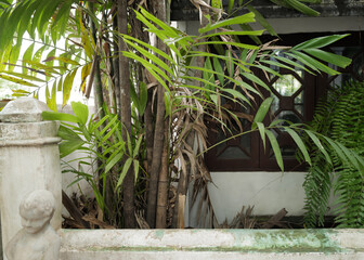 Decoration and design of green garden terrace and patio deck park