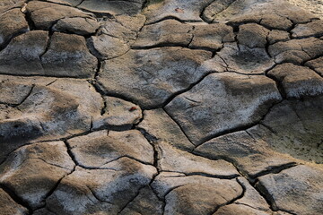dry cracked earth