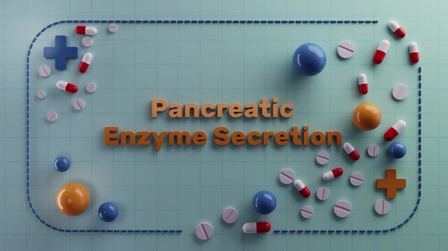 3D medical animation featuring "Pancreatic Enzyme Secretion" with detailed cellular structures, metabolic pathways, biological mechanisms and scientific visualization for educational, clinical