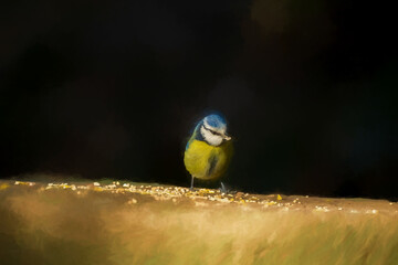 Digital illustration of an Eurasian Blue Tit standing on a wall feeding on seed.