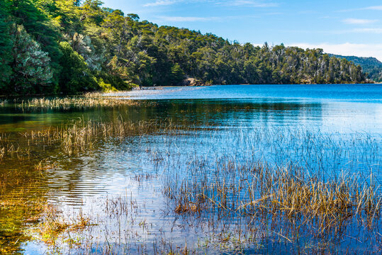 Arrayanes Trail, Lake Moreno West, Bariloch, Rio Negro Province, Argentine Patagonia.
