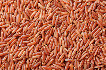 Cereal grains of red rice. Macro shot