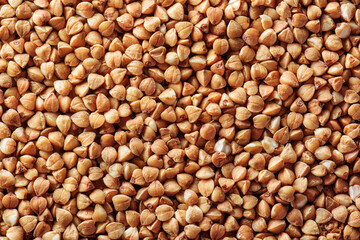 Whole grain buckwheat. Macro shot