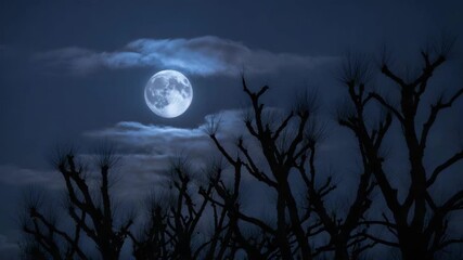 Eerie full moon illuminates dark silhouetted bare tree branches against a deep blue cloudy night sky creating a mysterious atmosphere - Powered by Adobe