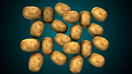 Potato food anatomy. 3d illustrations