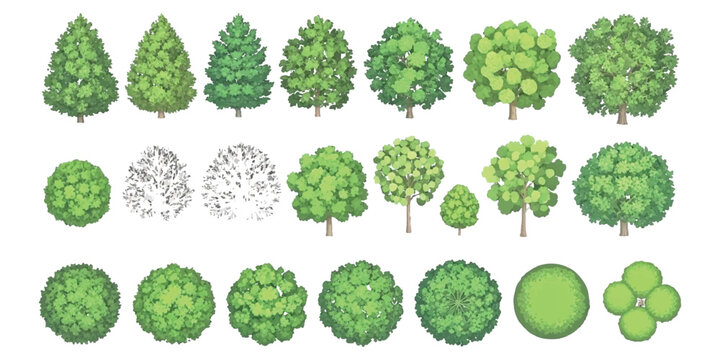 Diverse green tree collection top view, isometric illustrations for design
