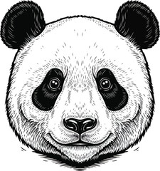 Panda face portrait wildlife illustration vector