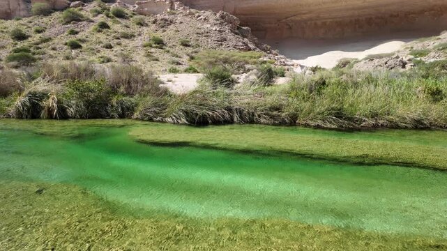 Wadi Hadhbram featuring vibrant turquoise water and lush green vegetation lining the banks contrasting with the arid mountainous terrain of Oman near Hasik in Dhofar