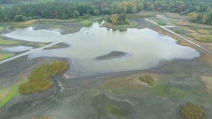 Aerial view of small lake and surrounding forest