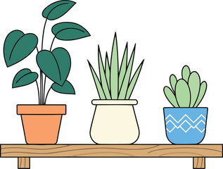 Obraz premium A charming collection of vibrant green potted houseplants brings natural beauty to any indoor space.