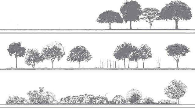 Minimalist CAD tree line set for architectural and landscape design drawings. Wetland forest section outlines in vector CAD style for landscape planning. 