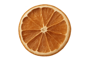 Cross-section of orange slice showing segments and rind