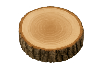 Circular tree trunk slice with rough bark edge and smooth inner wood rings