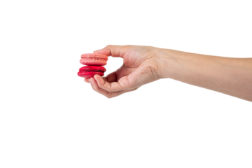 Pink and red macarons in hand on transparent background