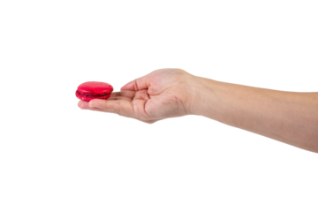 Pink and red macarons in hand on transparent background