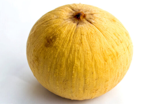 Santol fruit on white background