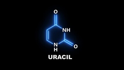 neon Uracil chemical structure on black Background. glowing chemical formula of Uracil. Uracil chemical structure Symbol icon Animation. Uracil chemical Structure icon. - Powered by Adobe