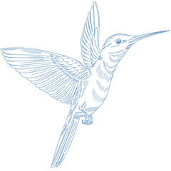 Elegant Blue Baroque Hummingbird with Detailed Engraved Feathers in Vintage Ornamental Style