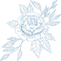Intricate Blue Baroque Rose Illustration with Detailed Leaves