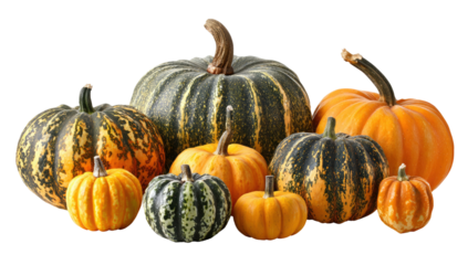 Collection of 8 pumpkins and gourds in various sizes and colors isolated on transparent background
