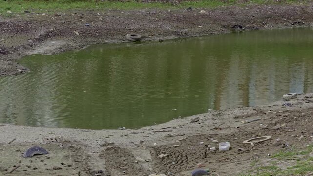 Shallow green pond with low water level and dirty cracked shore, scattered trash, plastic objects and old tires lying along muddy banks.