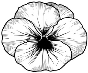 Obraz premium Flower Life: Black White Abstract Art | Clean, isolated vector art for creative projects.