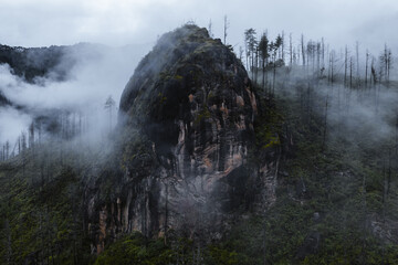 Aerial view of a misty mountain peak emerging through the veil of clouds, showcasing the rugged textures and ghostly silhouettes of trees, Paro, Bhutan.
