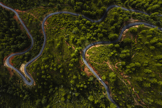 Aerial view of a winding road cutting through a dense forest, the dark asphalt contrasting with the vibrant green canopy, Paro, Bhutan.
