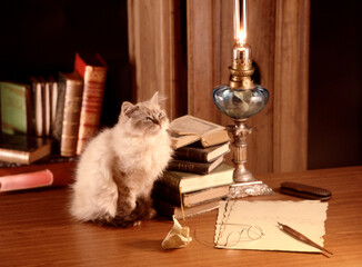 une ambiance tranquille