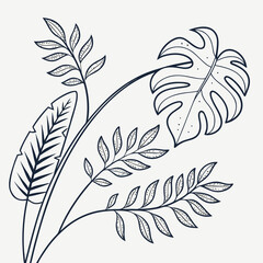 Obraz premium Feather vector illustration set with bird wing pattern, vintage quill, and ink pen drawing elements