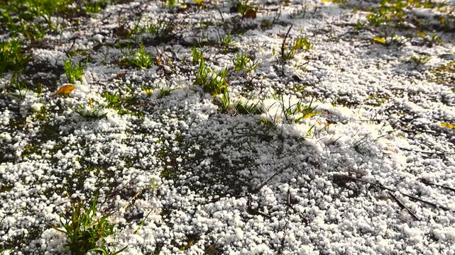 Footage gliding over fresh white snow or hale on a sunny garden muddy ground with green grass visible in between the large snow flakes and hale balls. Shallow depth of field.