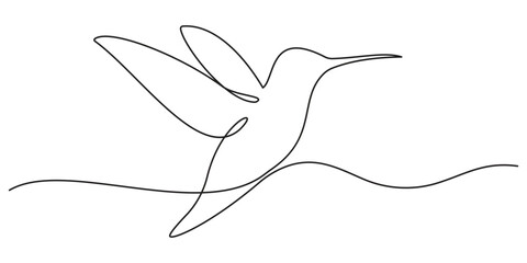Continuous one line drawing of collibri. Humming bird. Abstract flying bird outline vector illustration.
