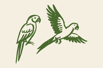Two parrots macaw tropical cartoon sketch vector illustration