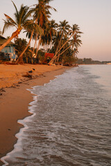 Tropical beach with palm trees