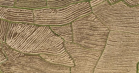 Aerial view of multiple harvested fields showing textures and patterns from above, creating a beautiful mosaic of agricultural land, Naogaon, Rajshahi Division, Bangladesh. - Powered by Adobe