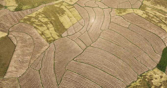 Aerial view of agricultural fields, a patchwork of textures and tones, creating a mesmerizing landscape from above, Naogaon, Rajshahi Division, Bangladesh.