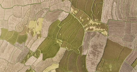 Aerial view of patchwork agricultural fields displays a stunning array of textures and contrasting colors, Naogaon, Rajshahi Division, Bangladesh.