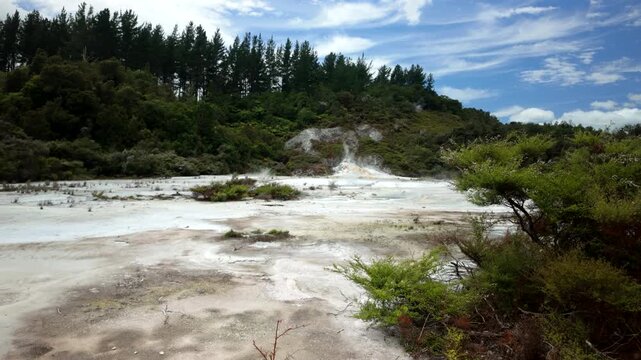 Geothermal white flat and forest hillside New Zealand