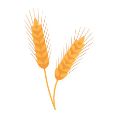 Wheat stalk illustration with golden grains and awns representing agriculture, farming, crop harvest, food production, botanical growth, and rural economy