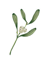 Mistletoe Branch with White Berries_03 &mdash; Christmas Botanical PNG