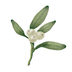 Mistletoe Branch with White Berries_02 &mdash; Christmas Botanical PNG