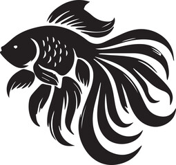 ikan #ikanhias #fish #indonesia #ikancupang #koi #aquarium #bettafish #ikankoi #seafood #jualikan