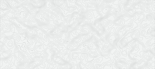 Grayscale Terrain Outline Detailed Abstract Topographic Map Pattern Featuring Fine Gray Contour Lines on Light Gray white Background.