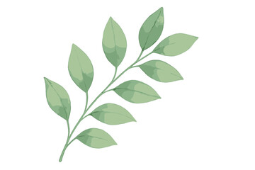 Obraz premium Delicate green leafy branch watercolor style isolated on white background