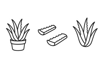 Aloe vera plant icons and various cut leaf pieces in outline style
