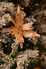 Christmas is the most beautiful holiday